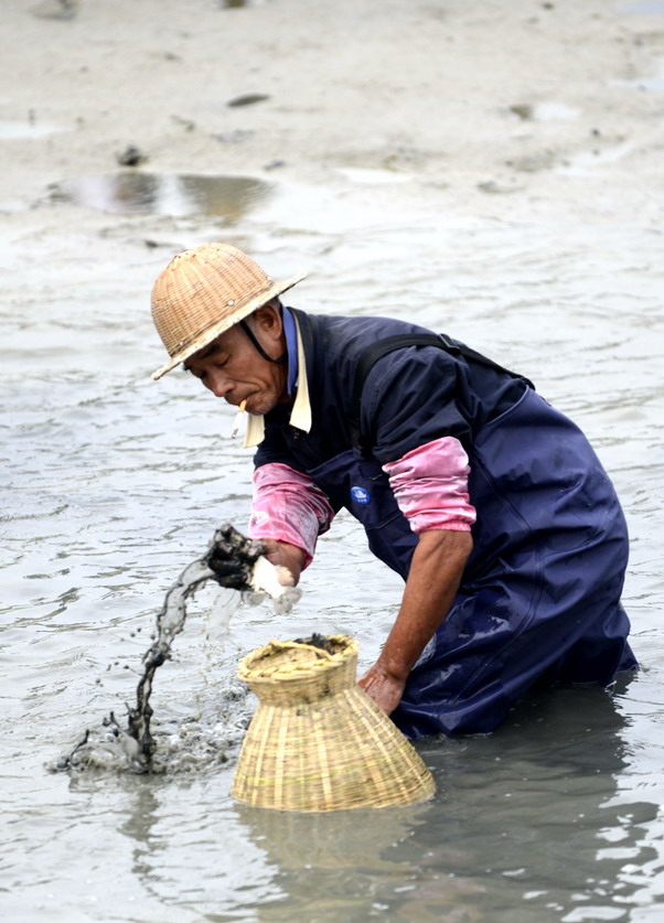 云霄海鲜美食节，干塘激情上演“浑水摸鱼”，女人免费摸