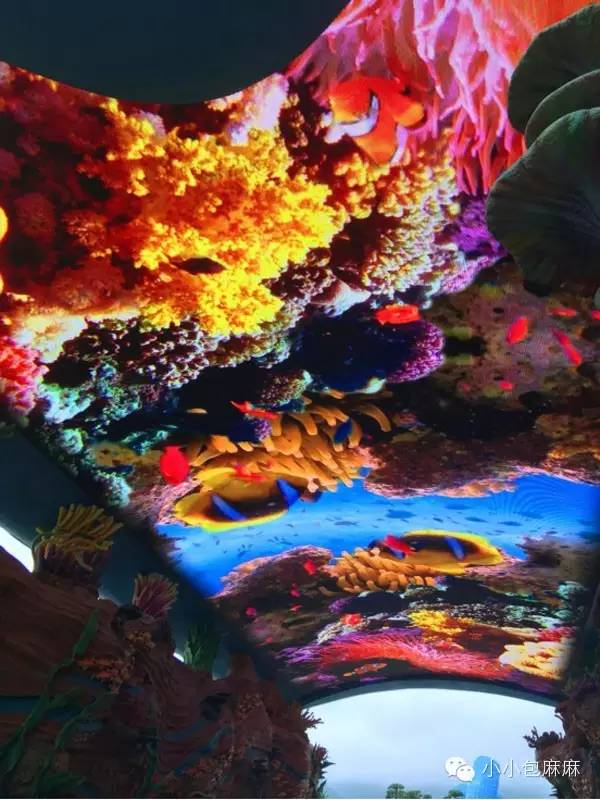 广州长隆动物园一日游攻略,长隆动物园和海洋公园哪个值得去