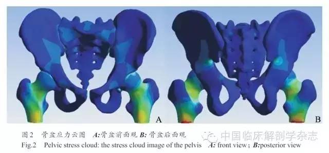 长骨骨折石膏固定术,长骨骨折夹板固定