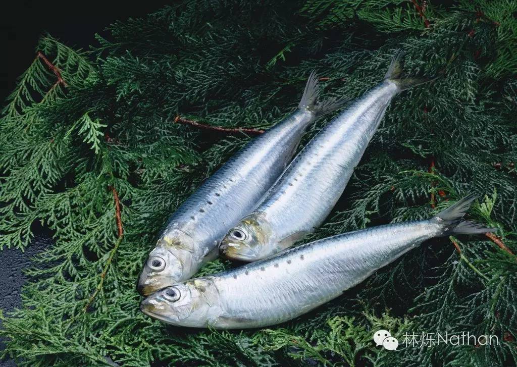 营养密集型食物大全,10个必吃的超级食物清单