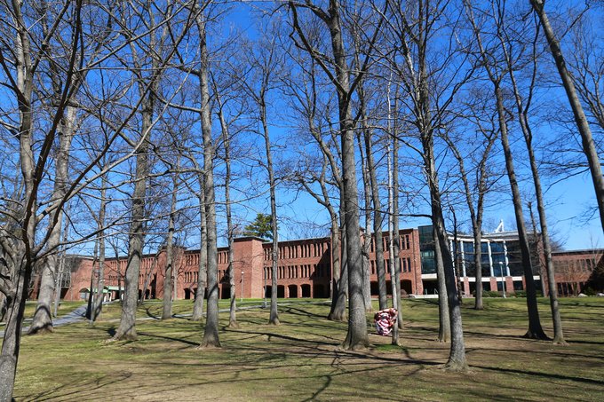 【轻年计划×发现纽约州】--我看纽约