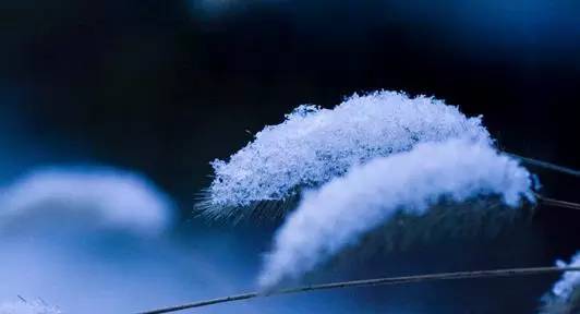 小桔灯儿童经典名著,名著摘抄加赏析小桔灯