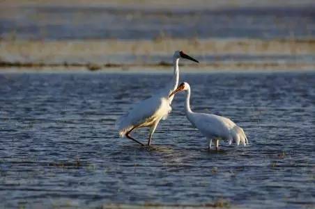 辽宁景点门票,辽宁省景点大全一览表