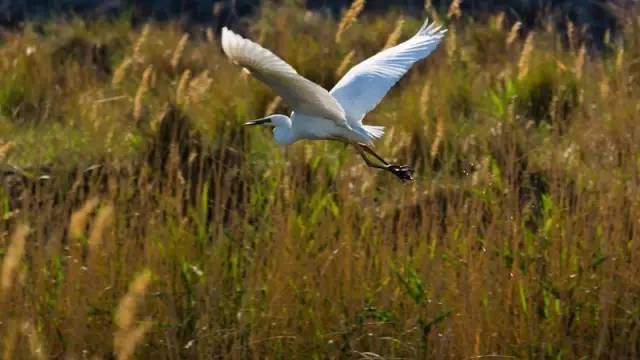 辽宁景点门票,辽宁省景点大全一览表