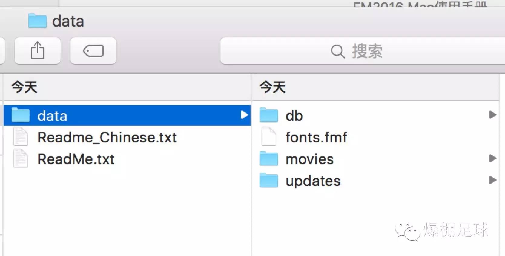 fm2016编辑器汉化版,fm2016editor切换中文