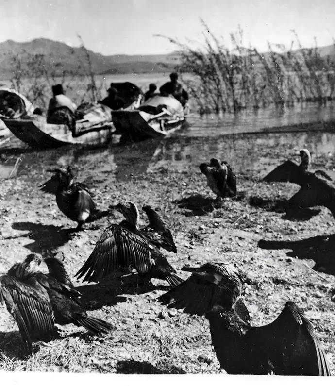 云南白族的简介,云南民族历史