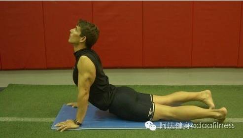 马甲线人鱼线小蛮腰,去肚腩练腰肌健身计划