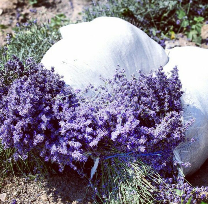 日韩化妆品清单推荐,日韩化妆品哪里便宜