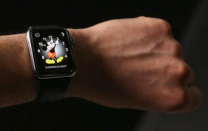 迪士尼布局,迪士尼整体布局