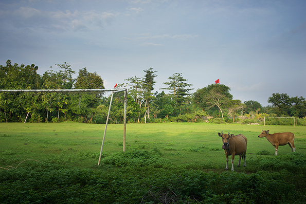 閭ｄ簺骞存垜浠涪杩囩殑鏍″洯瓒崇悆,閭ｄ簺骞存垜浠涪杩囩殑瓒崇悆