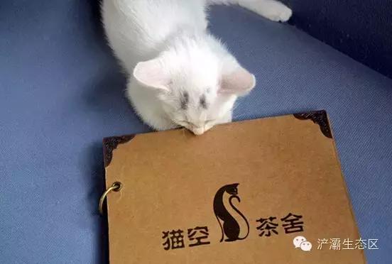 灞岸十里画廊和人山人海saybye~