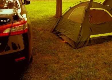 野外空手套“野鸡脖子”巨毒蛇已伏法