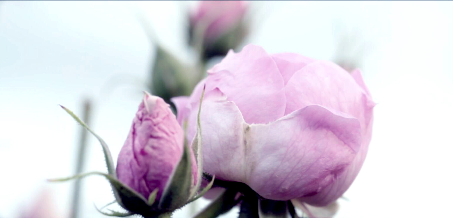 敷面膜脸发热怎么回事,敷完面膜脸红发热怎么快速解决