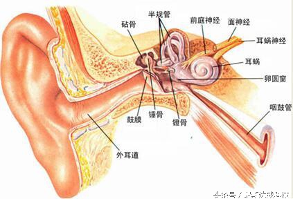 粉笔灰对小孩的危害视频,粉笔灰对老师的危害