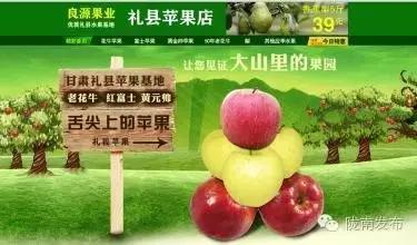 当传统企业遇上“互联网+”，看陇南这几个企业如何转型~