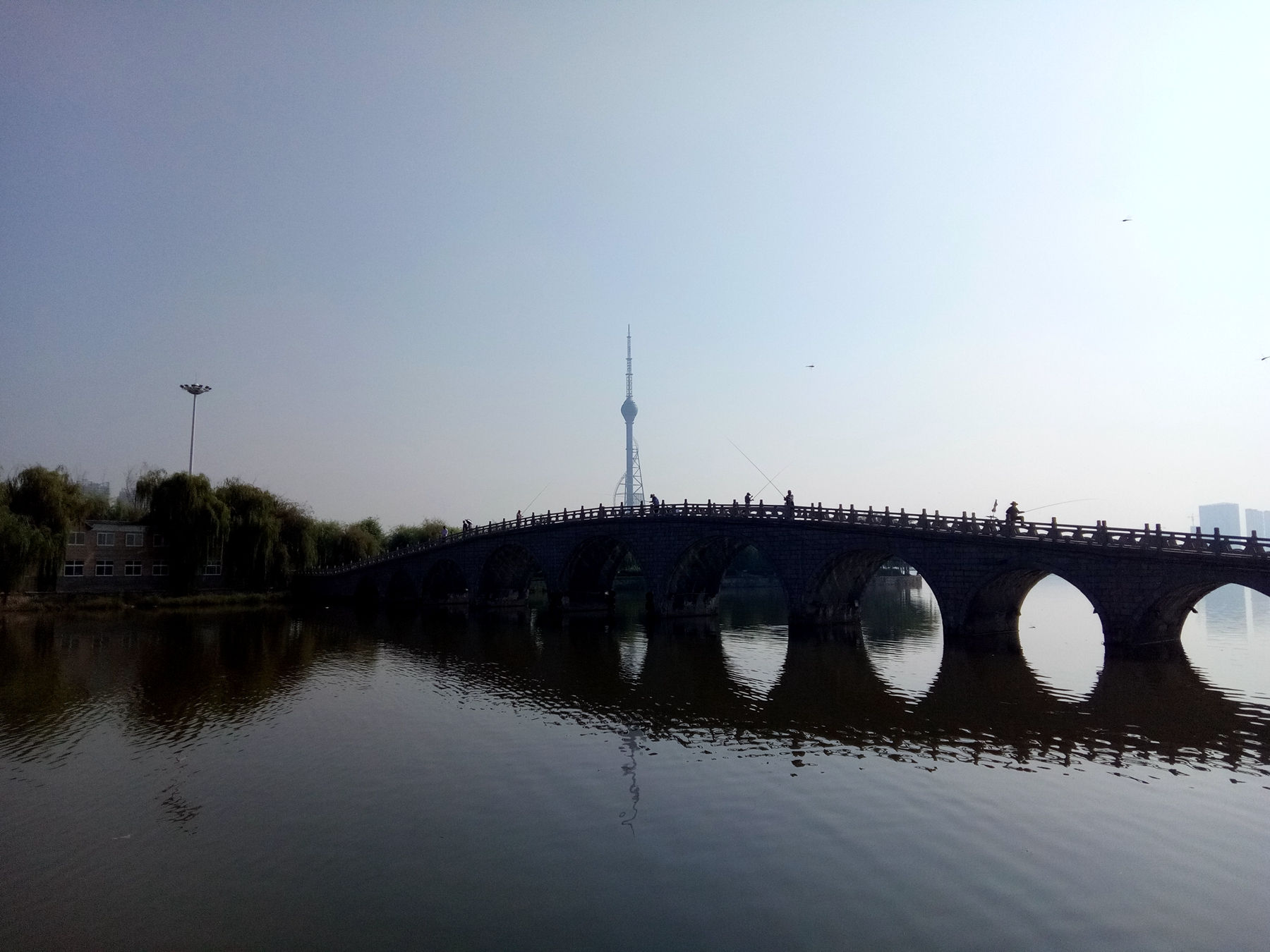 小品牌性价比电动车,酷比max5参数