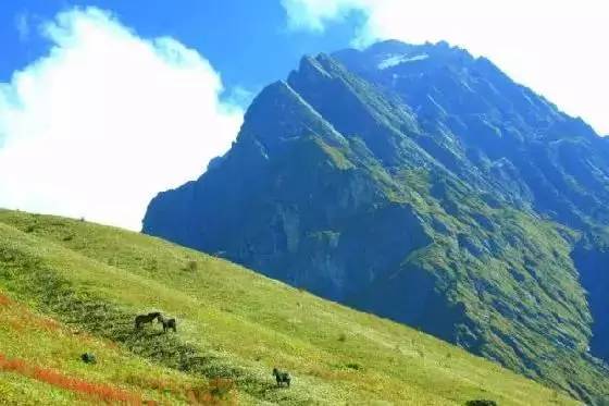 分享四川最值得去的9个地方景点,福利市景点