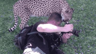 搞笑Gif：如果被舔的是你，你会说什么？