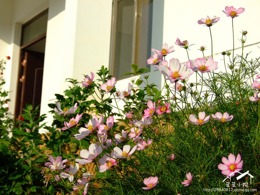 哪里适合隐居过田园生活,唯美的田园隐居生活