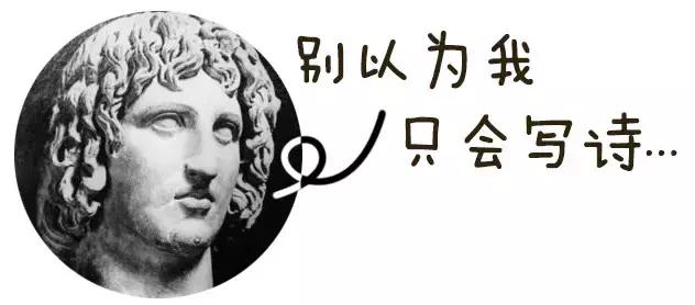 一个月的狗除了狗粮还能吃什么,不到一年的狗吃什么狗粮