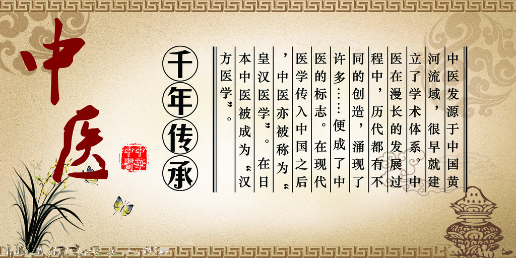 大叶活血丹 (乡间常见的植物活血丹)