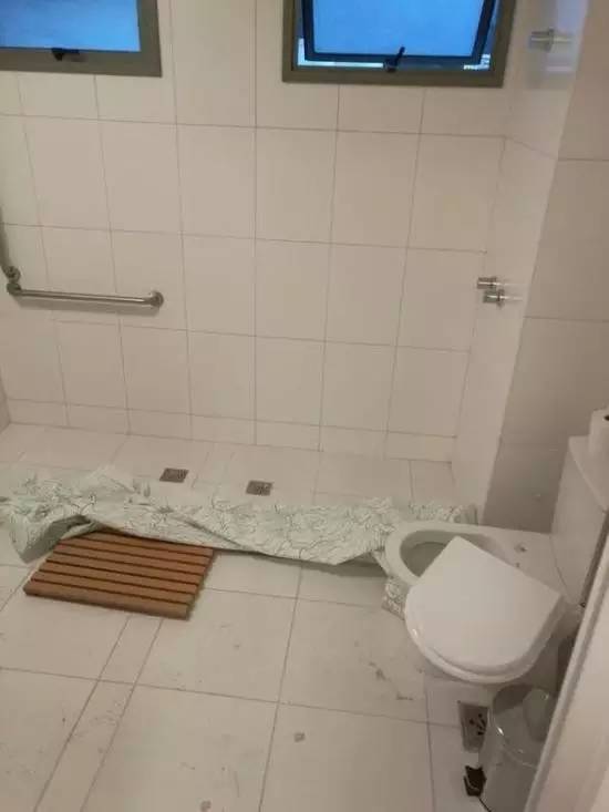 本届巴西奥组委：谁能帮我海淘只熊猫？