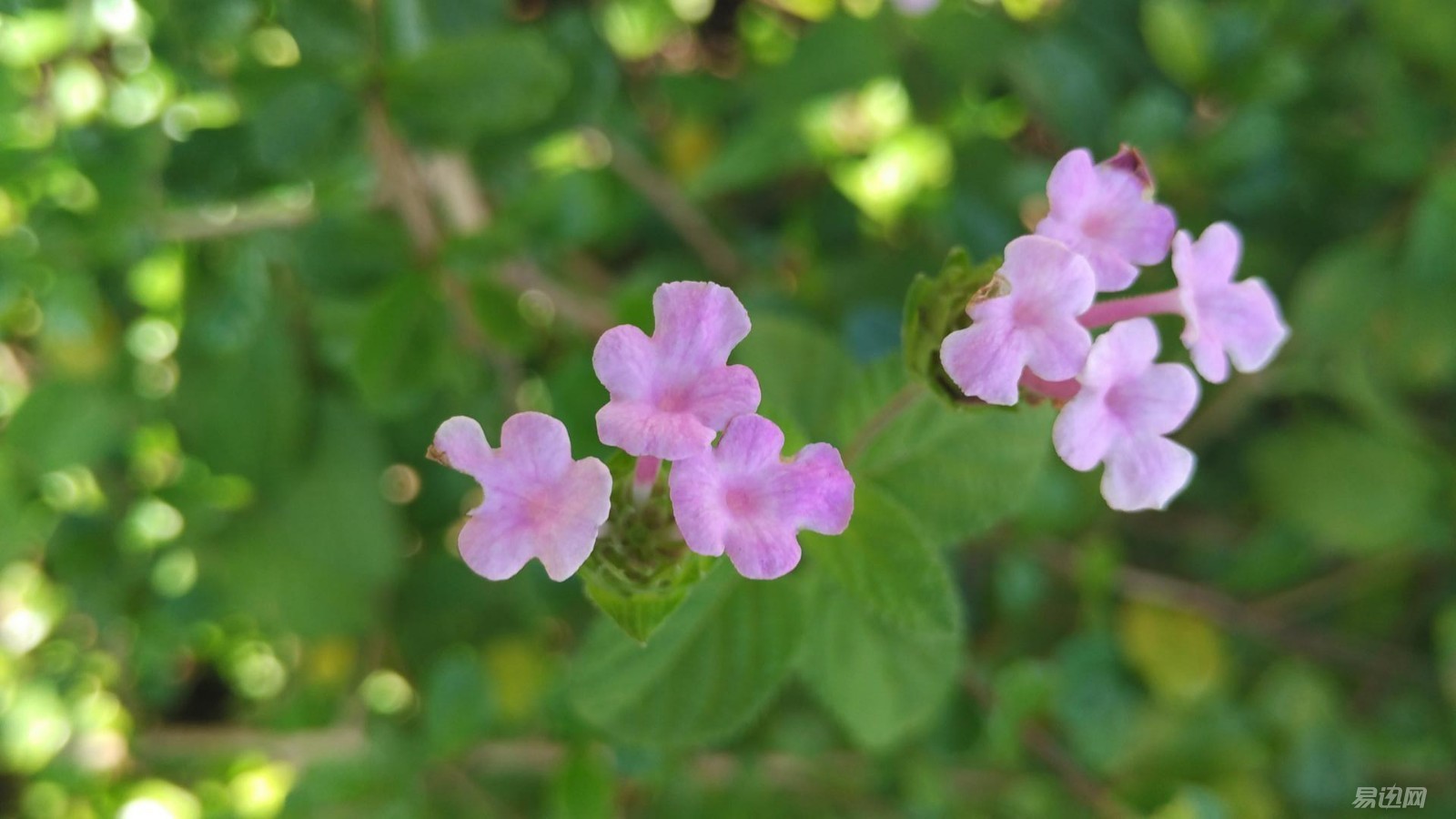 小米max系列推荐,小米max高性能