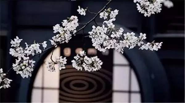 给宝宝买东西太贵伤不起,给婴儿买东西不贵怎么说