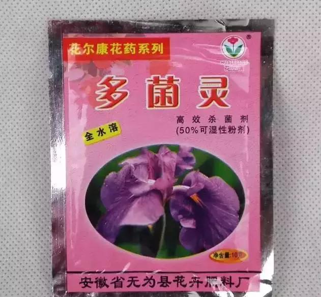 肉肉怎么浇水最好最合适,肉肉浇水最好的方法