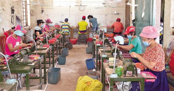 星月菩提为什么一落千丈,星月菩提跌下神坛