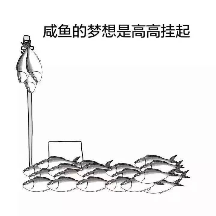 我为什么选择留在中国,我为什么选择留在广州