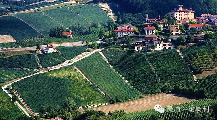 并不是每瓶Barolo，都可以带上“酒王”的金冠