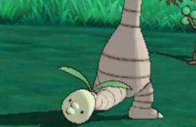 啊，椰蛋树！你的脖子怎么那么长？！