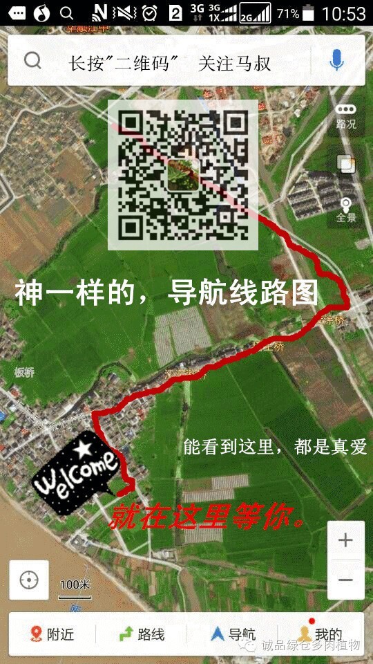 多肉用白石子铺面好吗,养多肉用什么铺面石好