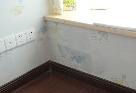 房子墙面发霉用除霉剂有用吗,家里墙面发霉怎么除霉