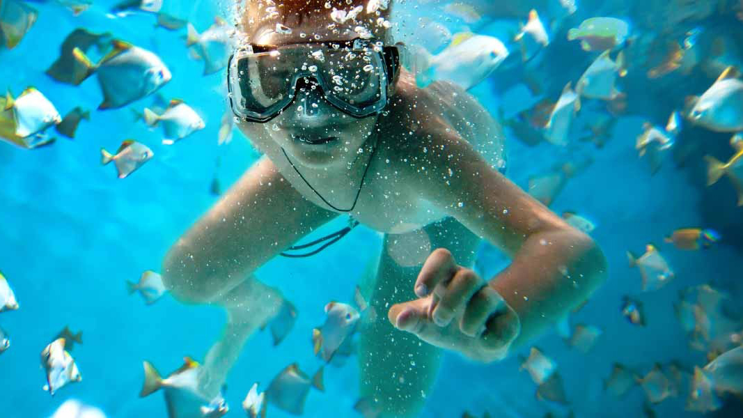 如果有天堂一定很美,毛里求斯旅游自由行攻略大全