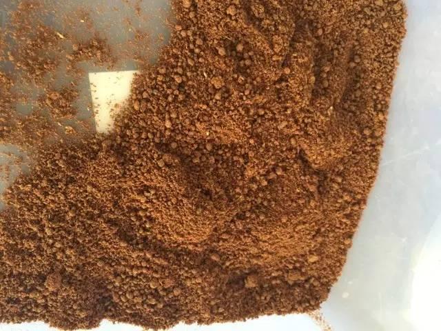 莺歌绿奇楠什么价,人工种植的莺歌绿奇楠多少钱