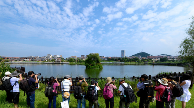 最新长沙旅游推荐,去长沙旅游必去的景点有哪些