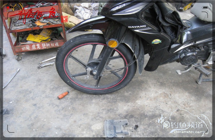 户外野钓小河沟七星鱼,鲫鱼野钓小河沟