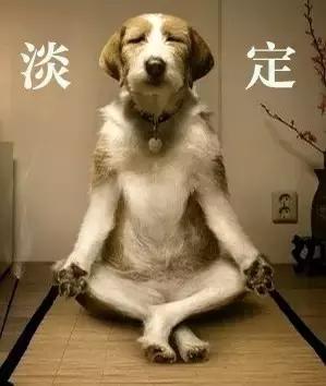 考CPA是什么,考cpa的目的和意义