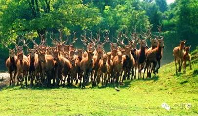 江苏穷富城市排名,江苏人均gdp最富的是哪个市