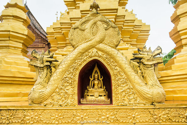 西双版纳住哪个傣族园舒服,西双版纳傣族园玩什么