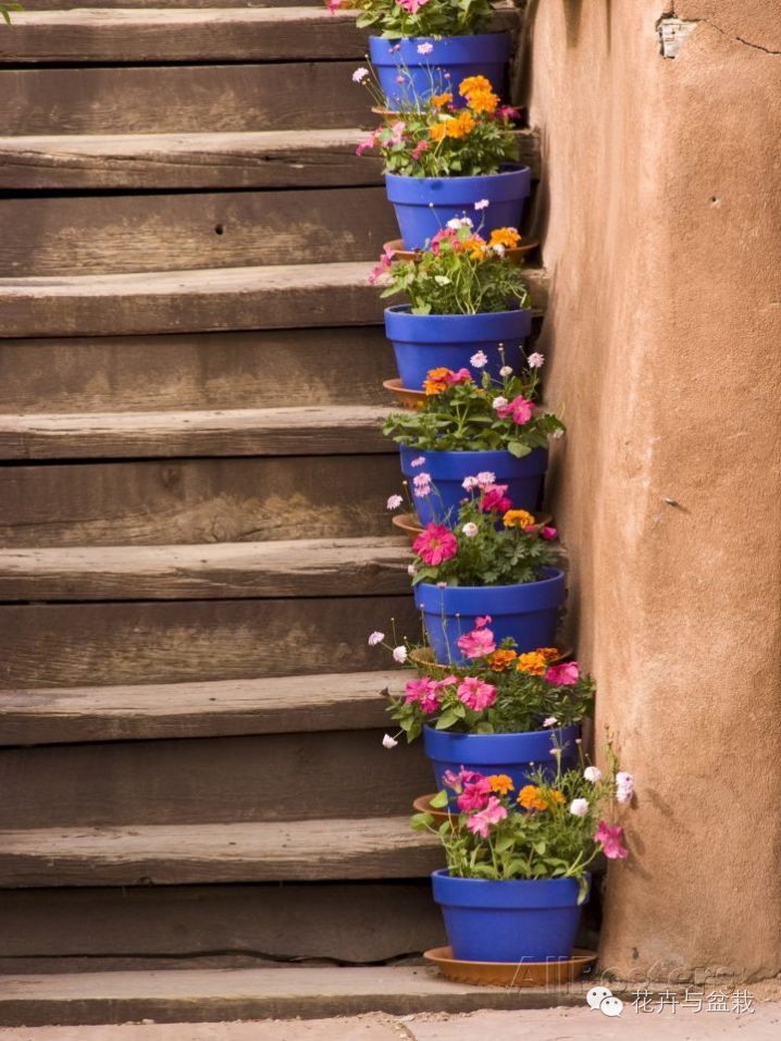 走到哪都是风景视频,走到哪里都是美景