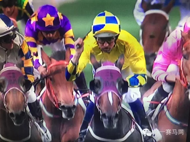 世界马匹最新排名出炉,“荣进之光”三度蝉联榜首