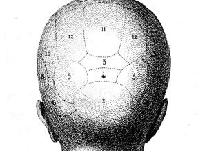 为什么后脑勺摔伤千万要小心—看看这里就知道了