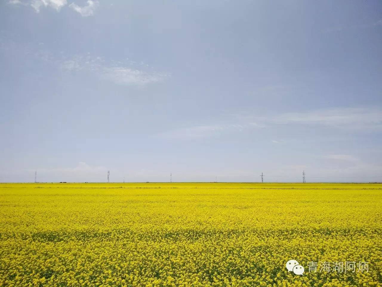 青海湖和沙坡头哪个更值得去,12月青海湖值得去吗