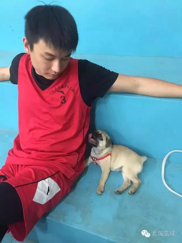 闽中六县篮球联赛安溪县,闽中六县篮球联赛