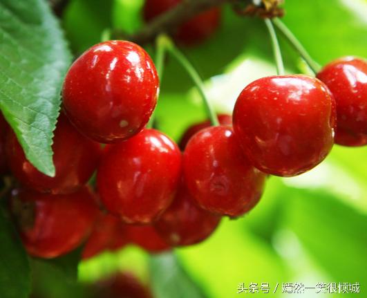 对男人补肾的食物,让男人补肾壮阳的药物