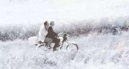 阿巴斯基亚罗斯塔米随风而逝,阿巴斯基亚罗斯塔米背景图片