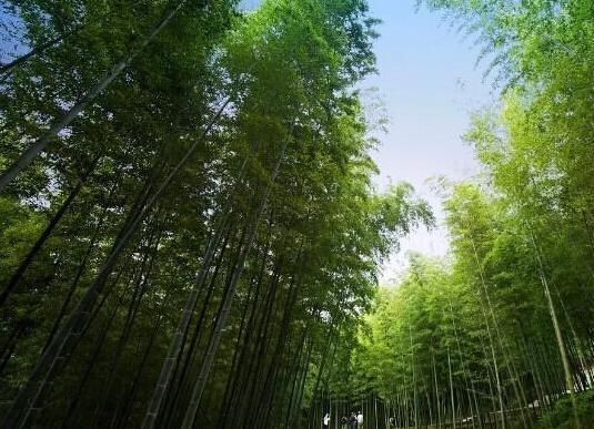 南京栖霞山周边农家乐,南京周边农家乐钓鱼的地方